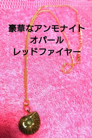 암모나이트 펜던트 골드 체인 메루카리 감정 포함 A-1