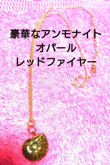 오늘의 특가 암모나이트 펜던트 골드 체인 메루카리 감정 포함 A-1