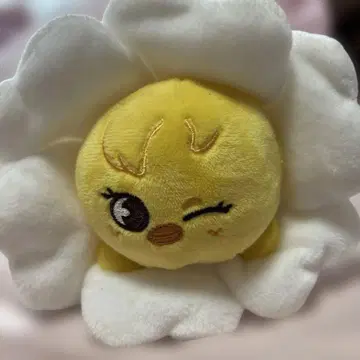 skzoo 복아리 펜 케이스 Bbokari 팝업