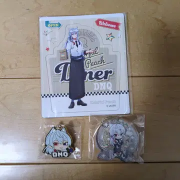 DNQ 아크릴 키링, 핀 배치, 다이너 마그넷