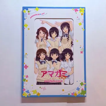 아마가미 SS+ plus 비주얼 팬북