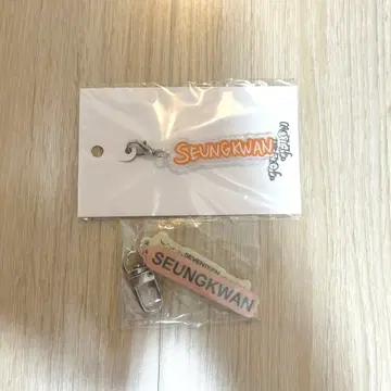 SEVENTEEN 승관 아크링 키링 세트