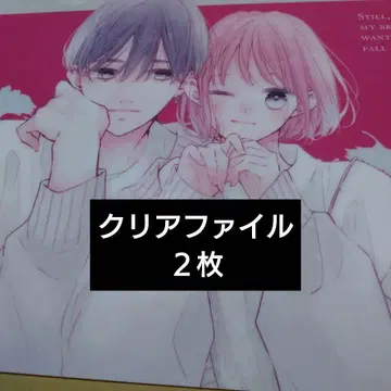 그래도 남동생은 사랑하고 싶어해 전프레 클리어 파일 2장 세트