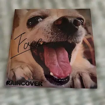 RAINCOVER [ face ] 단종 CD