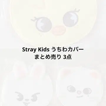 Stray Kids 부채 커버 묶음 판매