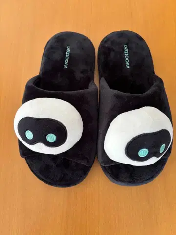 BTS JIN[HAPPY] 우트군 룸슈즈