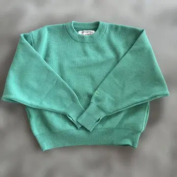 ROSE BUD LOGAN 그린 긴팔 스웨터 맨투맨