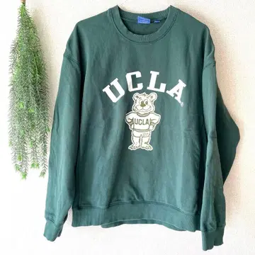 새상품급 UCLA 트레이닝복 그린 프리 사이즈 루즈핏 빅