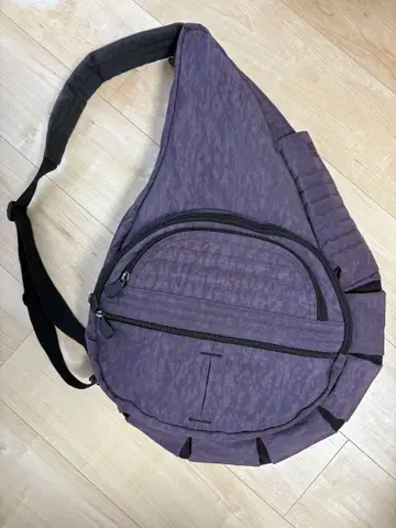 헬시백백 빅 사이즈 플럼