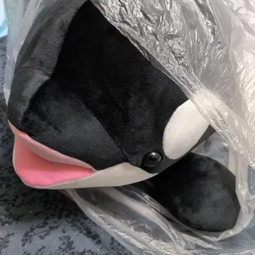 고베 스마 월드 범고래 복권 1등 범고래 봉제 인형 70cm