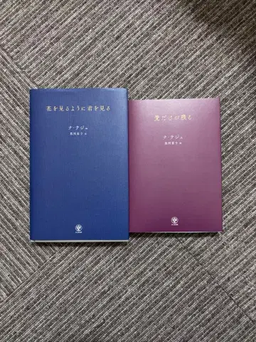 [꽃을 보는 듯 너를 본다] 나태주 [사랑만 남는다] 나태주