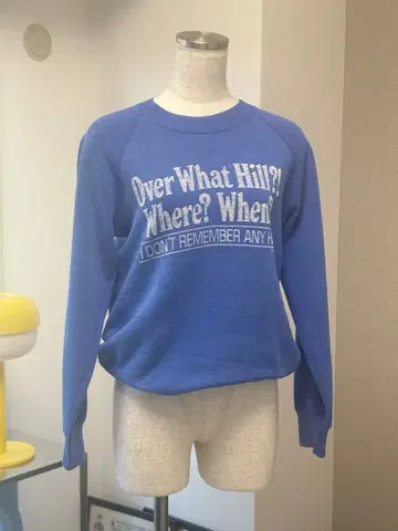 90s 프룻 오브 더 룸 래글런 맨투맨 USA제 메시지 프린트