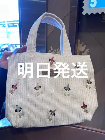 릴린린 토트백 디즈니 크리스마스 2025