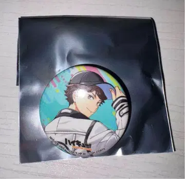 하이큐 하이드리 팬파크 캔뱃지 오이카와