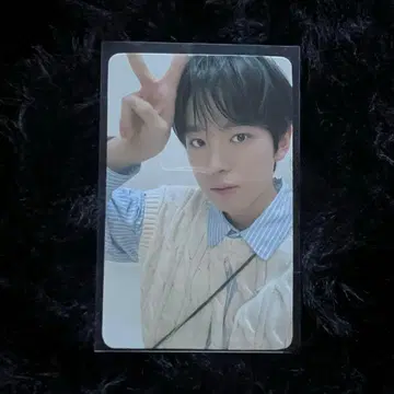 NCT WISH 6000엔 트레이딩 카드 회장 한정판 혜택 유우시