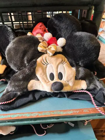 디즈니 크리스마스 미니 팬캡