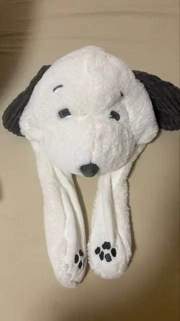 개와 공룡 머리띠 세트