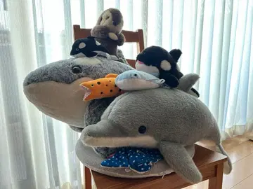 [ 입양 홍보 ] 해양 생물 봉제 인형 세트