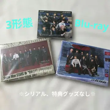 음고지신 3형태 Snow Man