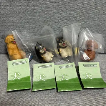 마테보케견 4세트