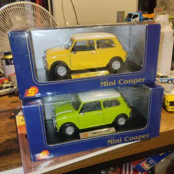 서니사이드 미니쿠퍼 2대 세트