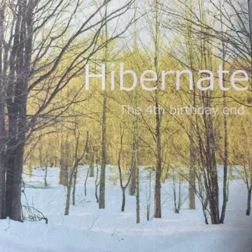 the 4th birthday end Hibernate 단종 CD