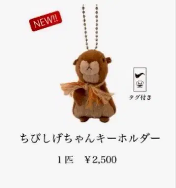 치비시게짱 키링 사바 시스터