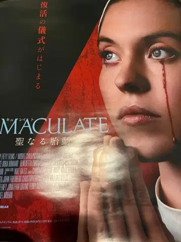 IMMACULATE 성스러운 태동 B2 포스터