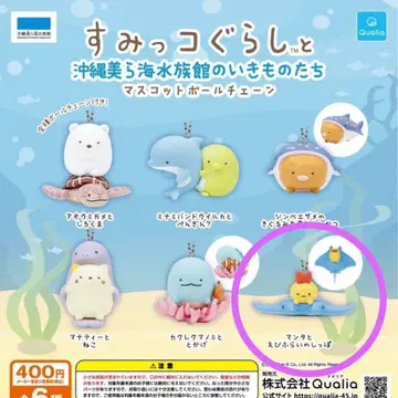 스미코구라시와 오키나와 츄라우미 수족관의 생물들 새우튀김 꼬리