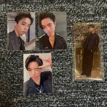 라스피 GOICHI 세트