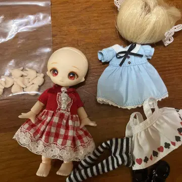 커스텀 헤드 카논 헤드 큐포쉬 앨리스