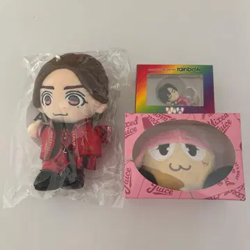 코타키 노조무 세트 판매