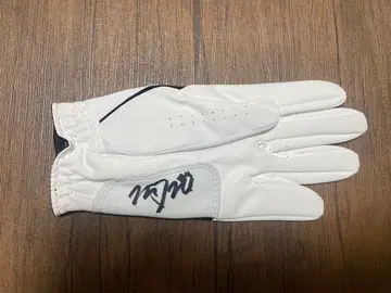 이나미 모네 프로 사인 포함 골프 그로브