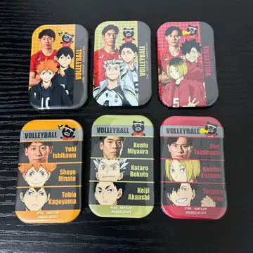 배구 일본 대표 선수 하이큐 스퀘어 캔뱃지 전종