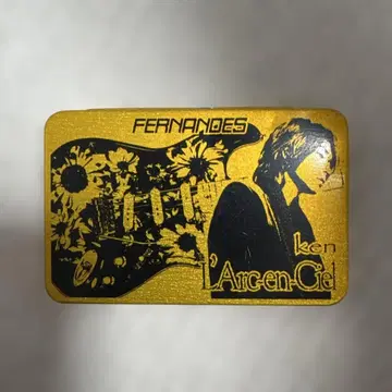 FERNANDES ken 기타 피크 세트