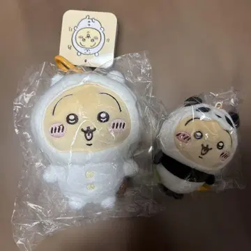 치이카와 (먼작귀) 나가노 마켓 곰을 쓴 토끼 팬더 마스코트