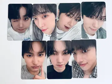 TRENDZ 트레이딩 카드 CHAMELEON 7장 세트 80