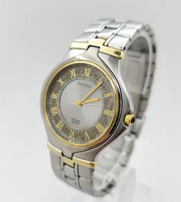 CITIZEN 시티즌 EXCEED 엑시드 5639-F61311