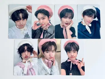 TRENDZ 트레이딩 카드 CHAMELEON 7장 세트 82