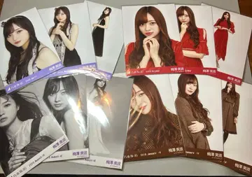 노기자카46 브로마이드 우메자와 미나미 4컴프