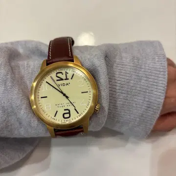 VIDA 아날로그 손목시계 골드/브라운