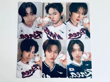 TRENDZ 트레이딩 카드 CHAMELEON 6장 세트 89