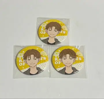 얼음 성벽 캔뱃지 미나토