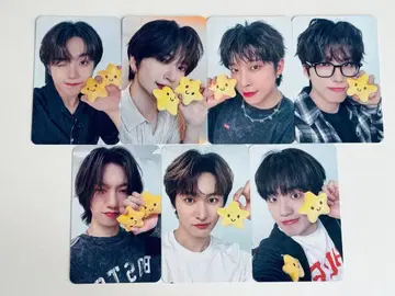 TRENDZ 트레이딩 카드 CHAMELEON 7장 세트 90