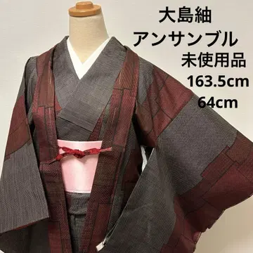 [ 이중 기모노 ] 오시마 명주 앙상블 미사용품11102