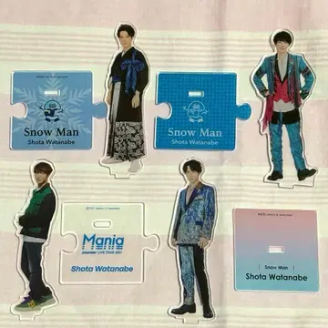 스노우맨 와타나베 쇼타 아크릴 스탠드 4개 세트 SnowMan