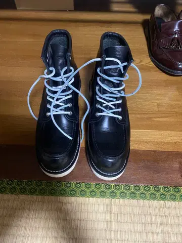 레드윙 8848 26.5 D 8848 아이리쉬 세터