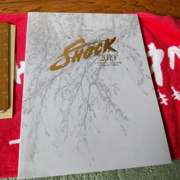 SHOCK 2019 KinKi Kids 팜플렛