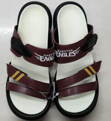 레게타카누 라쿠텐 이글스 여성용 M, LL 1켤레씩
