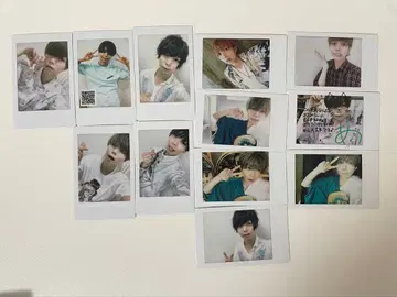 팬더 드래곤 아즈 폴라로이드 세트